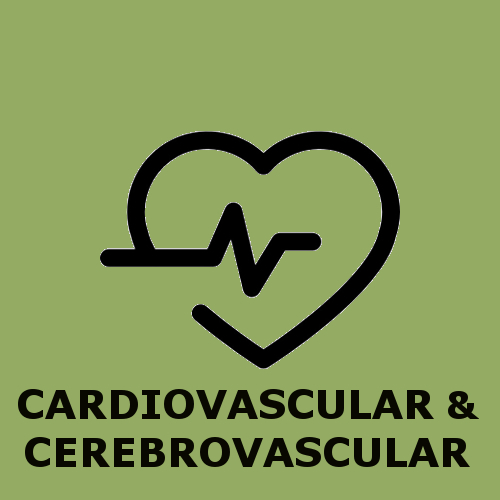 Cardiovascular OK